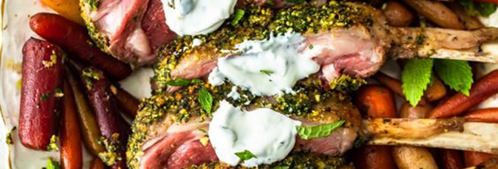 herb-infused-lamb-dentist-midland